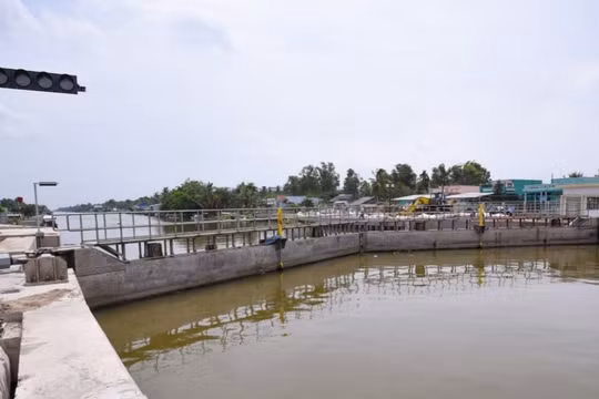 Bạc Liêu kiến nghị Trung ương hỗ trợ 1.125 tỷ đồng ứng phó với hạn mặn