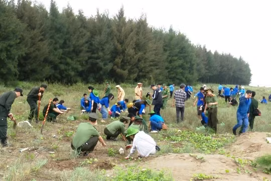 Thanh niên tỉnh Ninh Bình hưởng ứng Đề án trồng 1 tỷ cây xanh