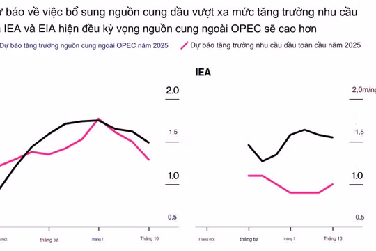 Tại sao các nhà giao dịch dầu mỏ trở nên bi quan về năm 2025?