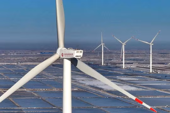 Năm 2023: Thế giới đạt kỷ lục ngoạn mục về công suất năng lượng tái tạo