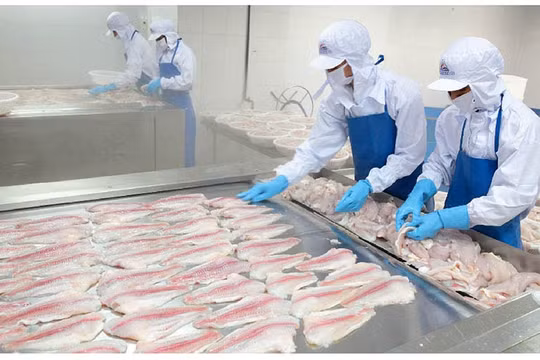 Thủy sản MeKong (AAM) thua lỗ Quý 4 kéo lùi lợi nhuận cả năm giảm 96%