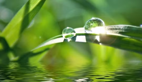 Sương còn đọng vai anh – Tình yêu đọng mãi trong đời!