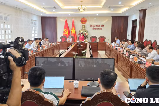 UBND tỉnh Gia Lai thông tin nhiều vấn đề “nóng” được dư luận quan tâm