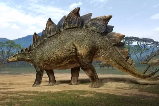 Bộ xương khủng long Stegosaurus được bán với giá kỷ lục 44,6 triệu USD