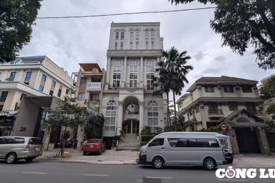 Bắt tạm giam Tổng Giám đốc Công ty CP Quốc Cường Gia Lai Nguyễn Thị Như Loan