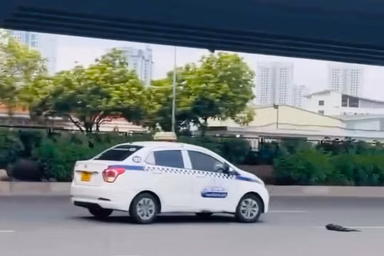 Bắt giữ tài xế taxi có hành vi náo loạn gây nguy hiểm cho người tham gia giao thông