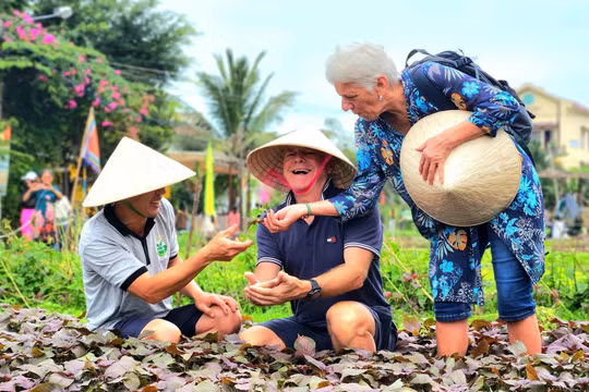 Việt Nam lần đầu tiên đăng cai tổ chức Hội nghị quốc tế toàn cầu về Du lịch Nông thôn