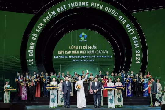 GELEX sở hữu 4 Thương hiệu quốc gia năm 2024