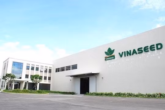 Vinaseed (NSC): Chi hơn 35 tỷ đồng trả cổ tức tiền mặt giữa lúc biên lợi nhuận rơi đáy, tồn kho và nợ vay cùng tăng vọt