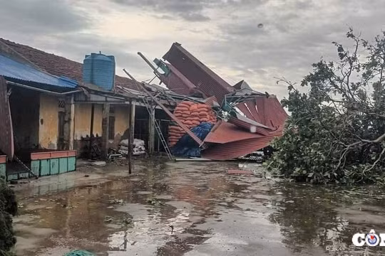 Thiên tai khiến 71 người chết, mất tích và hơn 100 nghìn ha lúa, hoa màu bị ngập úng
