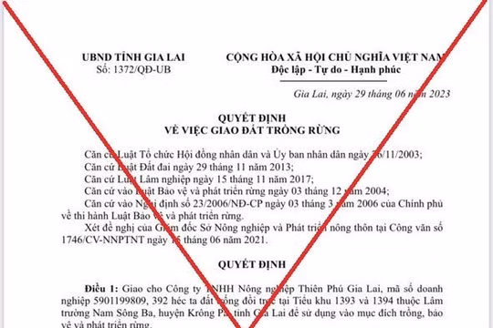 Văn bản của Chủ tịch tỉnh Gia Lai về việc giao hàng trăm ha đất trồng rừng là giả mạo