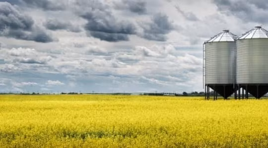 Kazakhstan tăng gấp bốn lần xuất khẩu ngũ cốc sang Trung Quốc