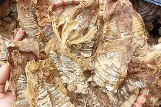 Cận Tết, nông sản khô tăng giá mạnh