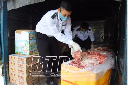 Thái Bình: Bắt giữ 1 xe ô tô tải chở gần 2.000kg thịt lợn không rõ nguồn gốc
