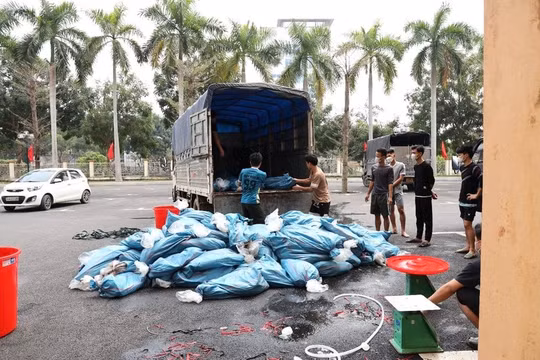 Lào Cai: Phát hiện, thu giữ gần 4 tấn cá tầm nước lạnh không rõ nguồn gốc