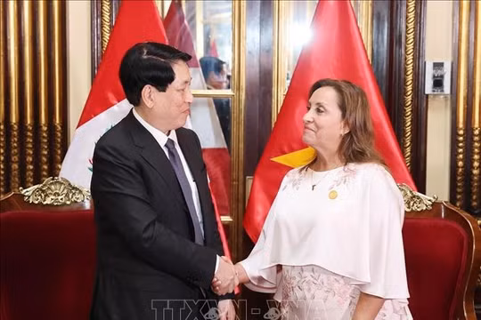 Tuyên bố chung Việt Nam - Peru