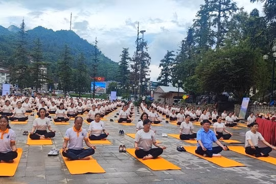 Sa Pa khởi động tour du lịch Yoga năm 2024