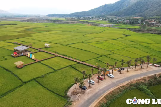 Quán cà phê “mọc” giữa ruộng: Vì sao UBND xã Chư Đang Ya xin cơ chế đặc thù?