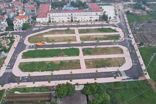 Hà Nội thừa nhận có tình trạng đấu giá đất nhằm đầu cơ, thổi giá