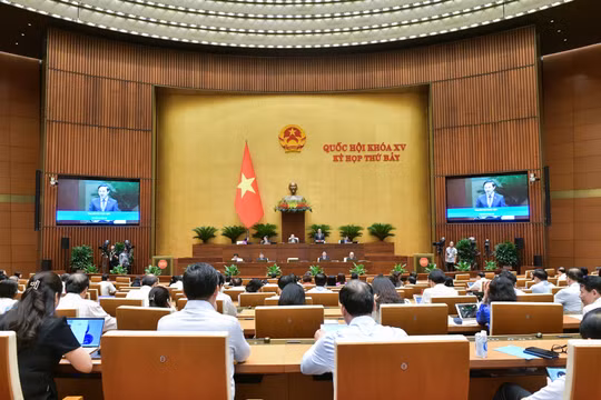 Tuần này, Quốc hội tập trung thảo luận các dự án luật