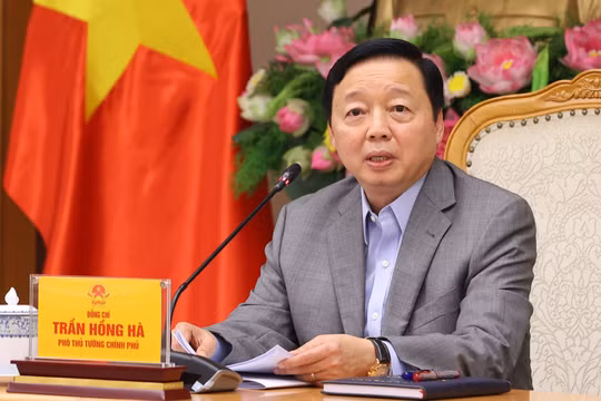 Rà soát cơ chế, chính sách để đề xuất mô hình hoạt động phù hợp cho Viện Nghiên cứu cao cấp về Toán