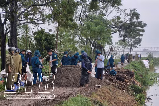 Thái Bình: Tiếp tục tăng cường công tác tuần tra, canh gác và xử lý sự cố trên tuyến đê quốc gia