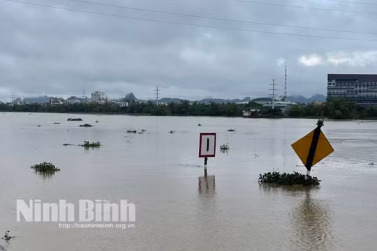 Ninh Bình: Mực nước sông Hoàng Long và sông Đáy trên mức báo động 3