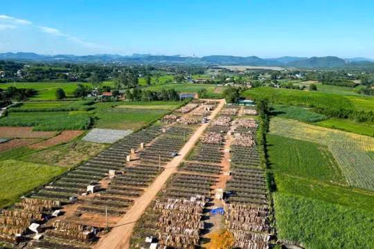 Nghệ An: Vì sao người dân không “mặn mà” tại 2 khu tái định cư đầu tư hàng chục tỉ đồng?