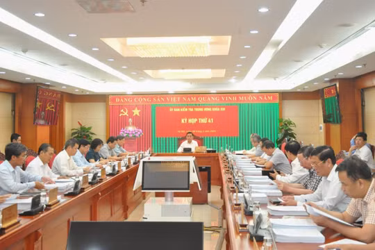 Đề nghị xem xét, thi hành kỷ luật với Ban Thường vụ Thành uỷ TP Hồ Chí Minh nhiệm kỳ 2010-2015