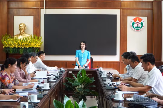 Giải Báo chí tỉnh lần thứ VIII Đắk Nông: Lựa chọn trao giải cho 51 tác phẩm