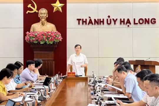 Giám đốc Ban Quản lý dự án đầu tư xây dựng TP Hạ Long bị tạm đình chỉ công tác
