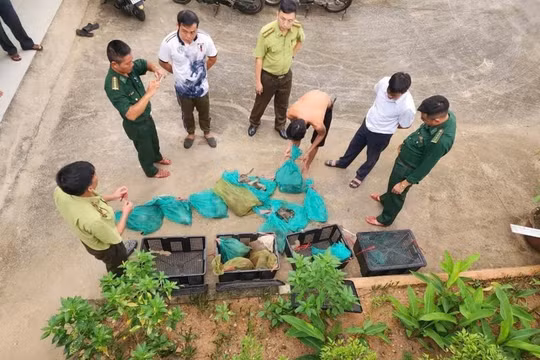 Bắt quả tang đối tượng vận chuyển 17 cá thể khỉ đuôi dài không rõ nguồn gốc