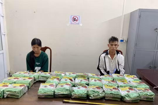 Hà Tĩnh: Bắt 2 đối tượng vận chuyển 30kg ma túy đá
