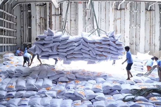 Thụy Điển phát hiện 600 tấn gạo nhập khẩu hết hạn, giả mạo nhãn mác: Không phải gạo Việt Nam