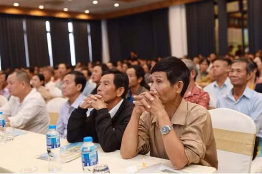 Hội thảo kỹ thuật NPL Cà Mau- Công nghệ Polyphosohate cho canh tác cây lúa tại tỉnh Thừa Thiên - Huế