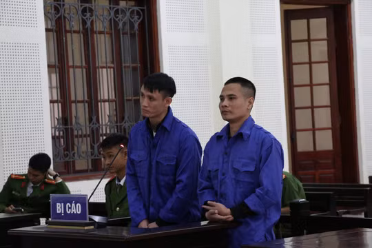 “Ngựa quen đường cũ”, ông bố trẻ hối hận khi gặp con tại tòa