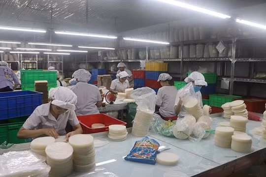 Thực phẩm Bích Chi (BCF) lợi nhuận tăng 73%, tạm ứng cổ tức tỷ lệ 10%