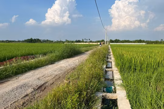 Huyện Phúc Thọ (Hà Nội): Chi tiền tỷ kiên cố hóa hệ thống kênh mương thủy lợi có bảo đảm chất lượng?