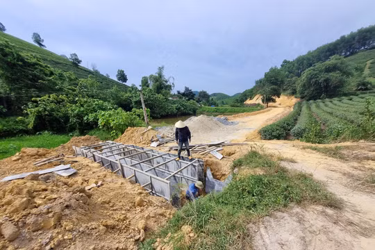 Công ty CP NetViet - doanh nghiệp 'bách chiến bách thắng' trúng thầu tại Nghệ An với tỷ lệ tiết kiệm 'nhỏ giọt'