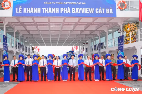 Hải Phòng đưa 3 phà 200 tấn vào hoạt động tại bến phà Đồng Bài