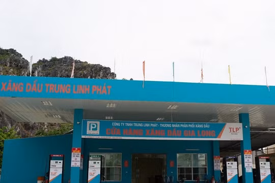 'Ông lớn' xăng dầu Trung Linh Phát đứng đầu danh sách nợ thuế tại Ninh Bình
