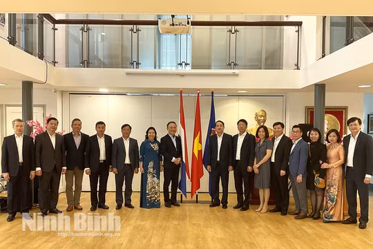 Ninh Bình trao đổi, hợp tác phát triển nhiều lĩnh vực với Vương quốc Hà Lan
