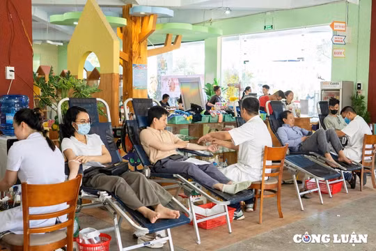 Thừa Thiên Huế: 200 doanh nhân đăng ký tham gia chương trình hiến máu tình nguyện