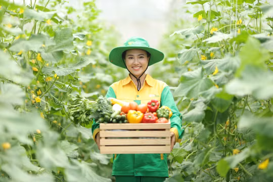 Rau củ quả WINECO trong top 10 sản phẩm, dịch vụ ấn tượng năm 2024
