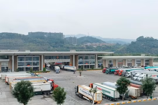 Lào Cai tạo thuận lợi nhất xuất khẩu quả vải tươi Việt Nam sang Trung Quốc