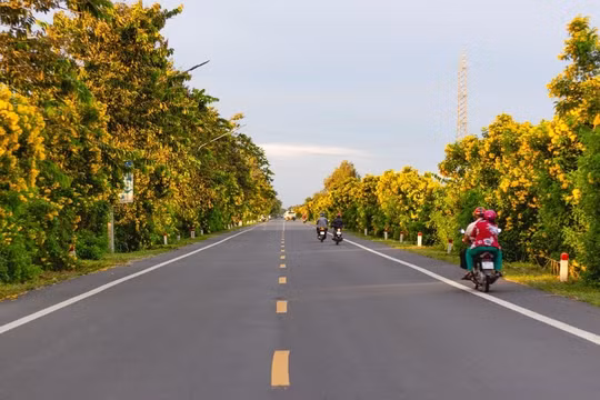 Đường nối Cần Thơ - Vị Thanh, tuyến đường đẹp nhất miền Tây Nam Bộ