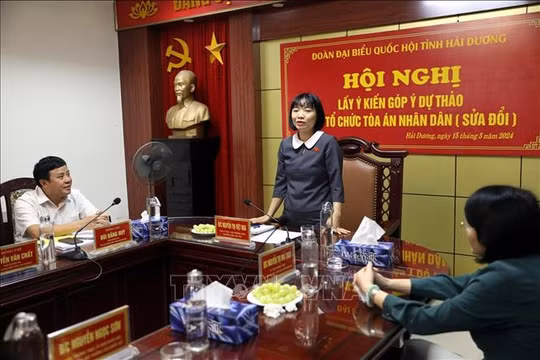 Đề nghị thành lập các tòa án nhân dân sơ thẩm chuyên biệt