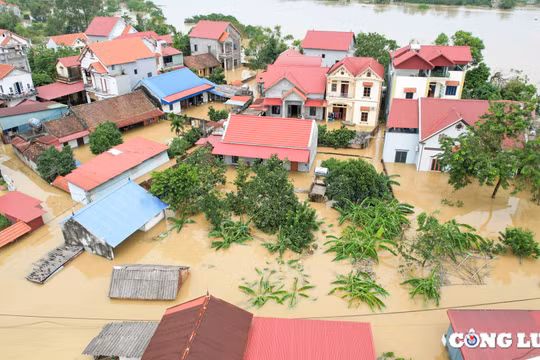Sau khoảng 1 tuần, thiên tai đã khiến 345 người chết, mất tích