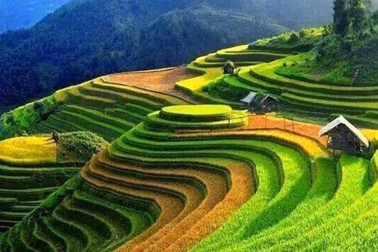Tháng 8 đi đâu?