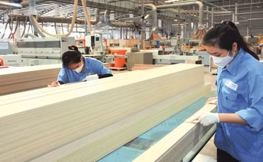 Gỗ An Cường (ACG) sắp chi 120 tỷ trả cổ tức